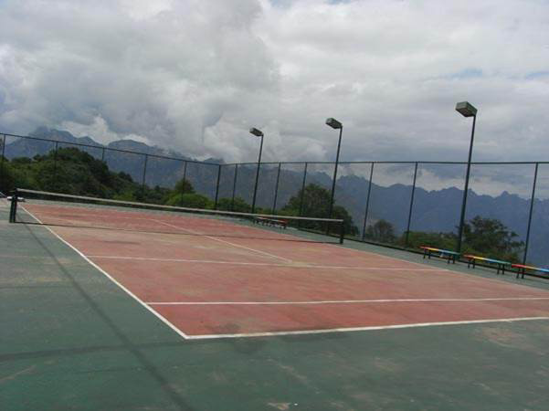 網球運動的由來 標準網球場 網球場 室內網球場